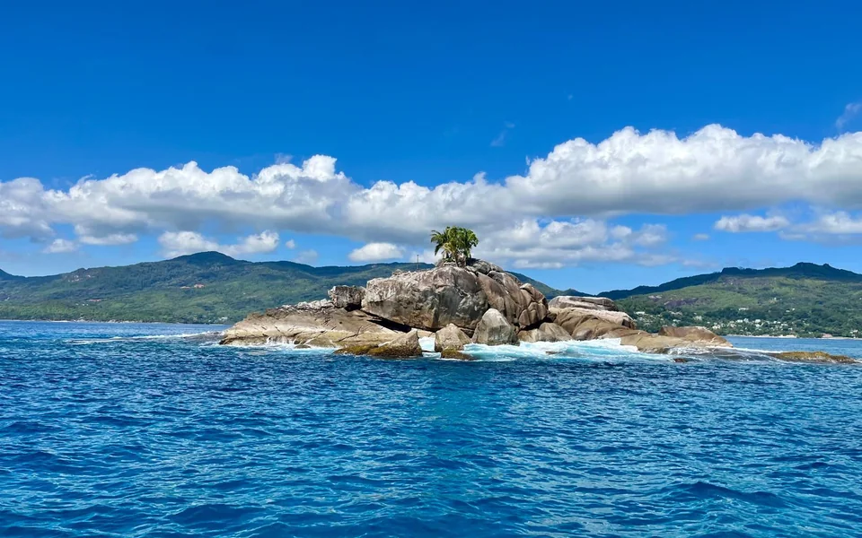 Clear reef water during a Banana Sea Club excursion